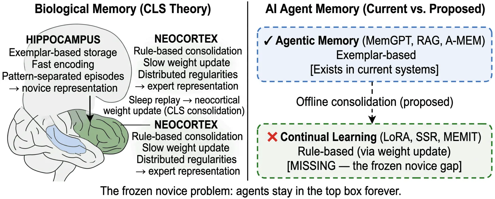 Overview figure from Contextual Agentic Memory is a Memo, Not True Memory